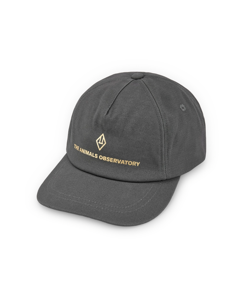 Deep Grey Hamster Cap COVER