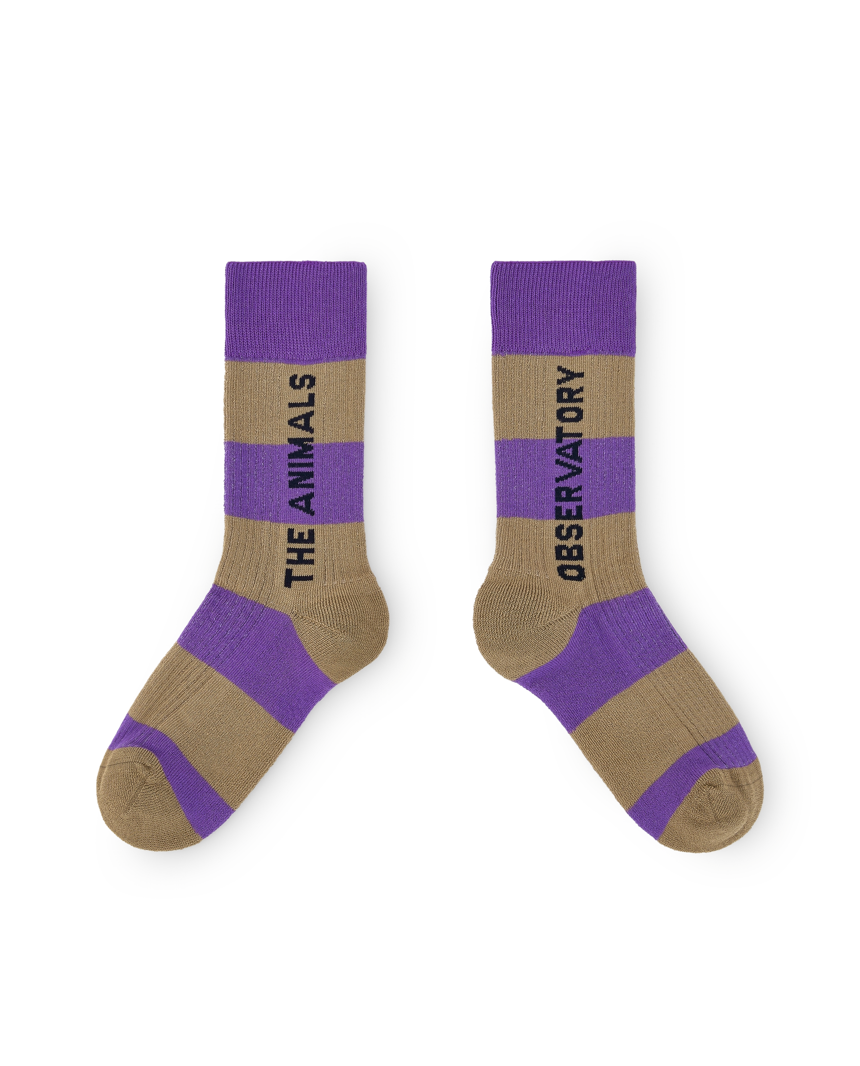 Purple Worm Socks PRODUCT FRONT