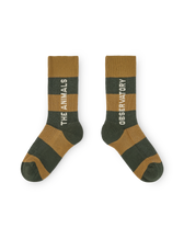 Brown Worm Socks PRODUCT FRONT