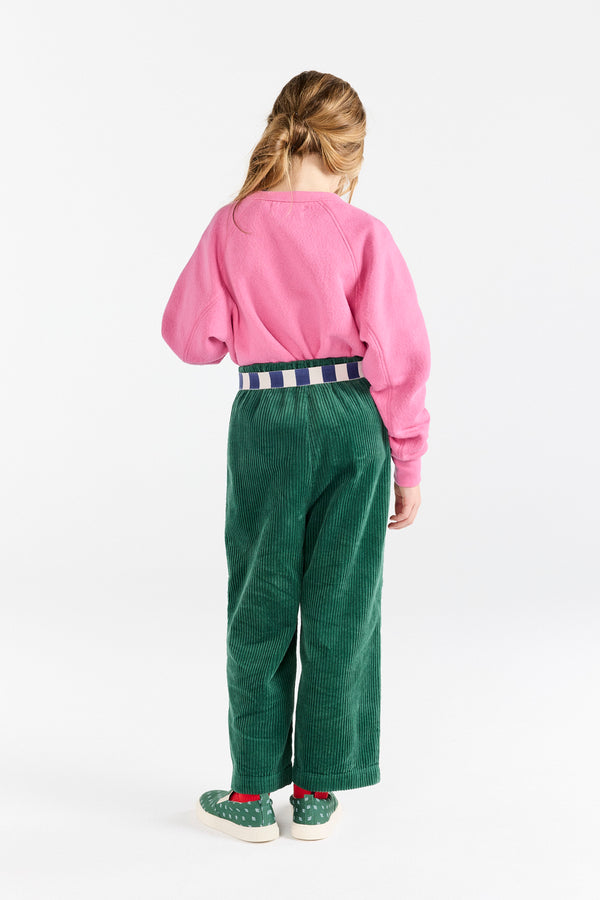 Navy Ibis Belt MODEL BACK