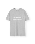 Grey Orion T-Shirt