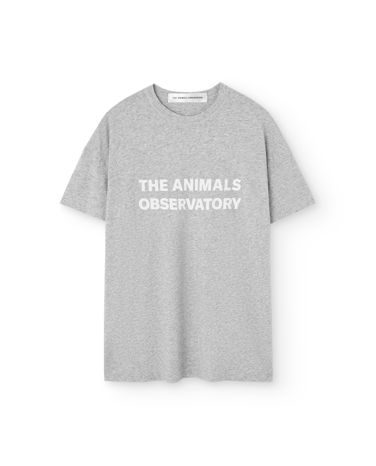 Grey Orion T-Shirt COVER