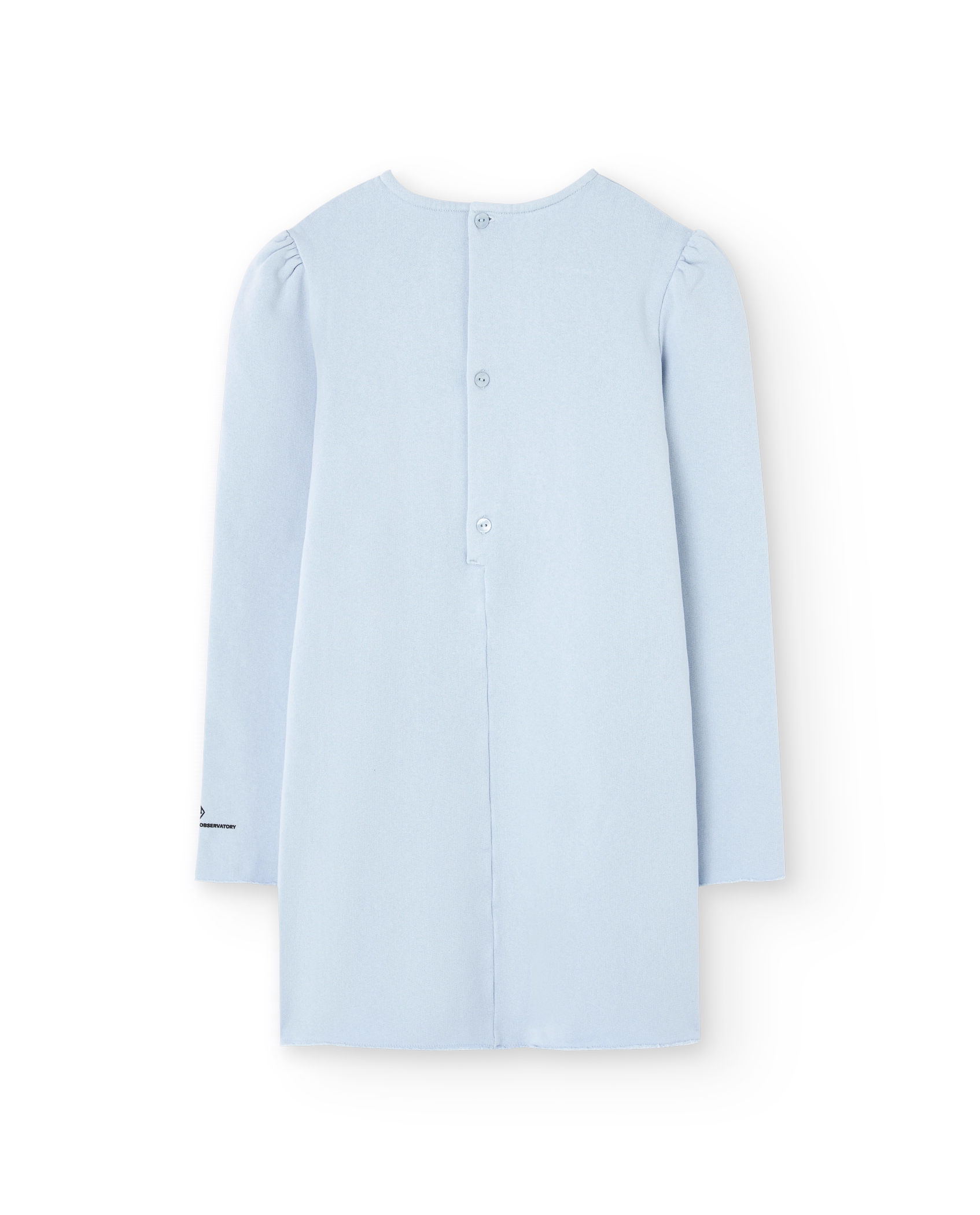 Flowers Blue Bug Dress PRODUCT BACK