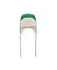 Green Perkingese Hat COVER