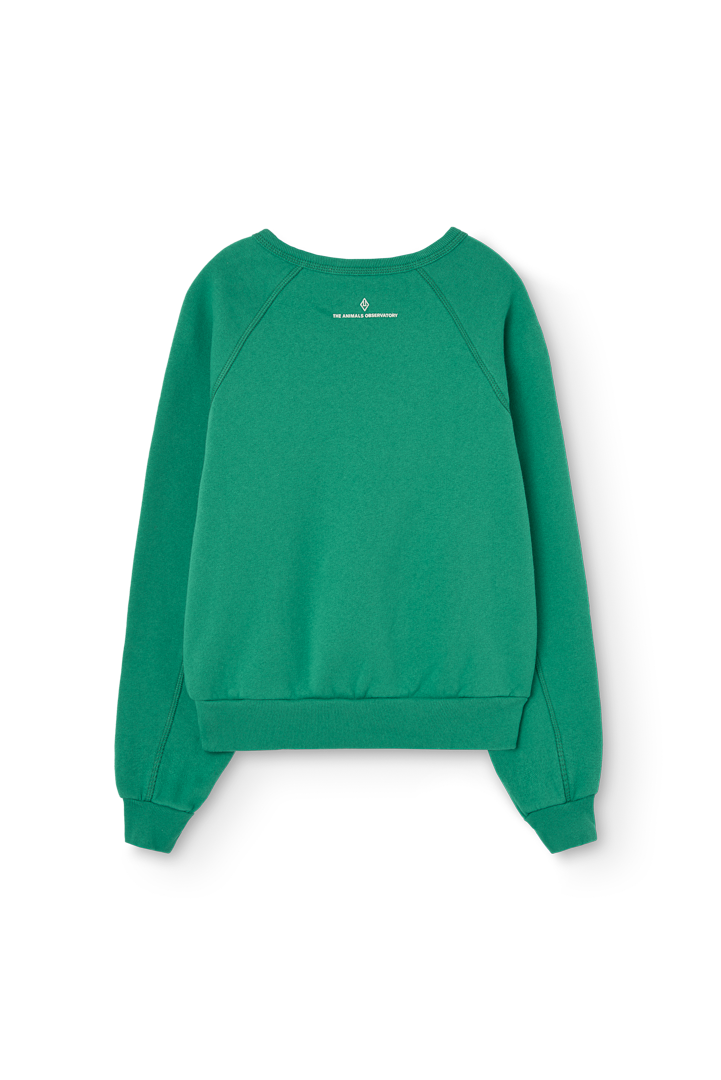 Bright Green Shark Sweatshirt PRODUCT BACK