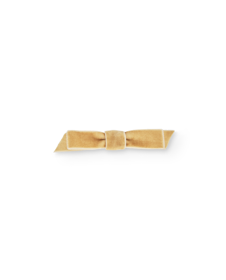 Gold Coati Hair Clip