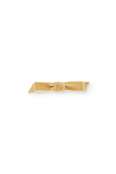 Gold Coati Hair Clip PRODUCT FRONT