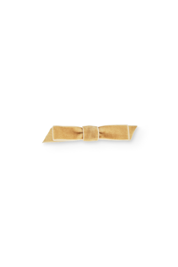 Gold Coati Hair Clip PRODUCT FRONT