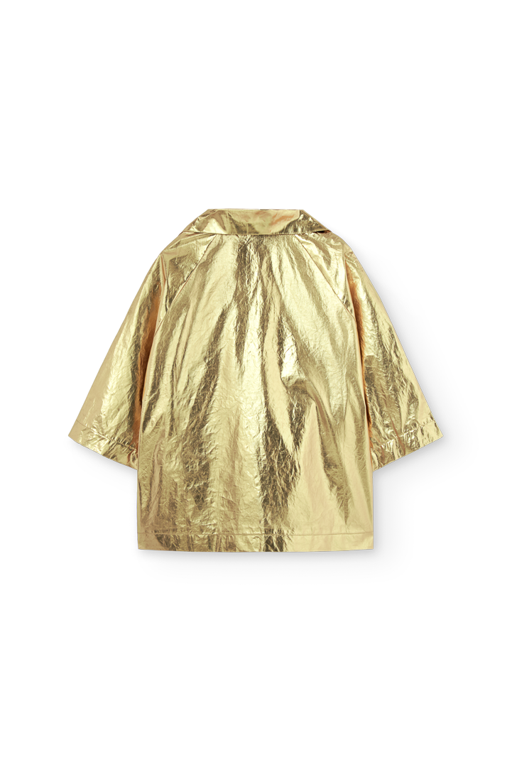 Gold Lion Jacket PRODUCT BACK