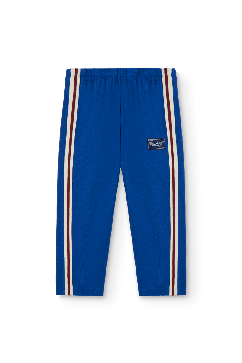 Blue Camaleon Sweatpants
