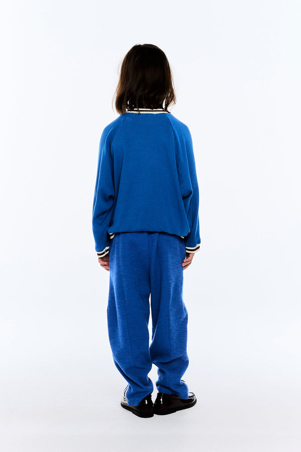 Blue Camaleon Sweatpants MODEL BACK