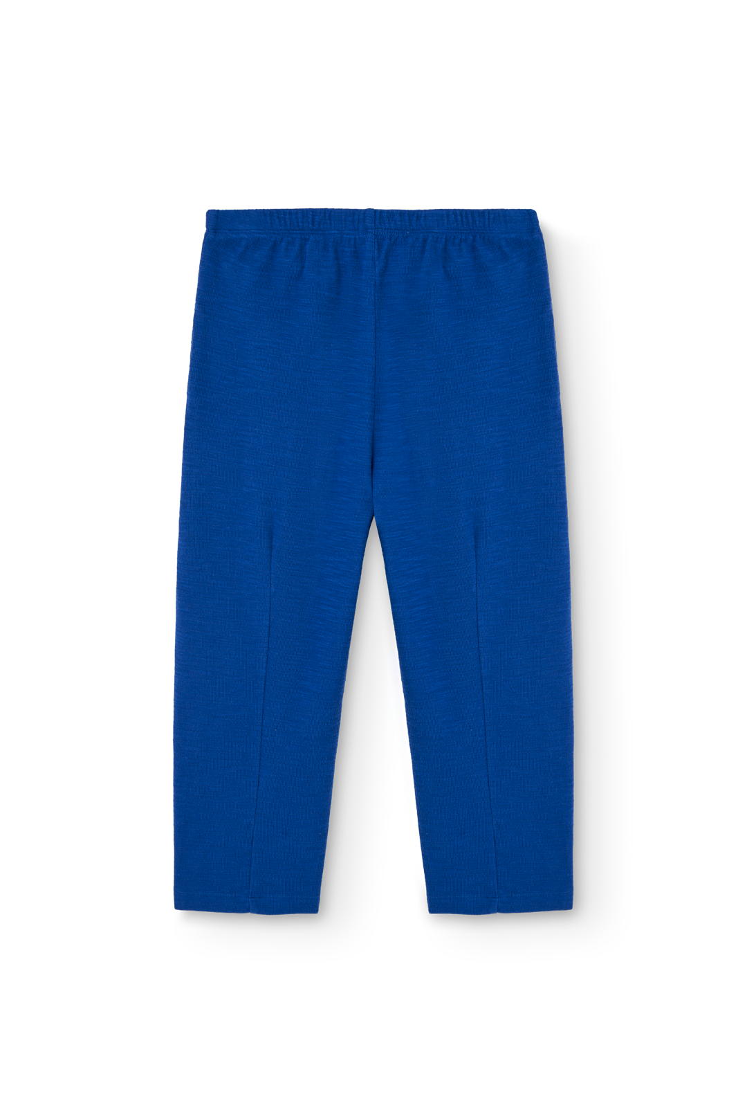 Blue Camaleon Sweatpants PRODUCT BACK