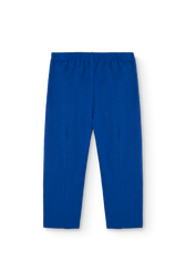 Blue Camaleon Sweatpants PRODUCT BACK