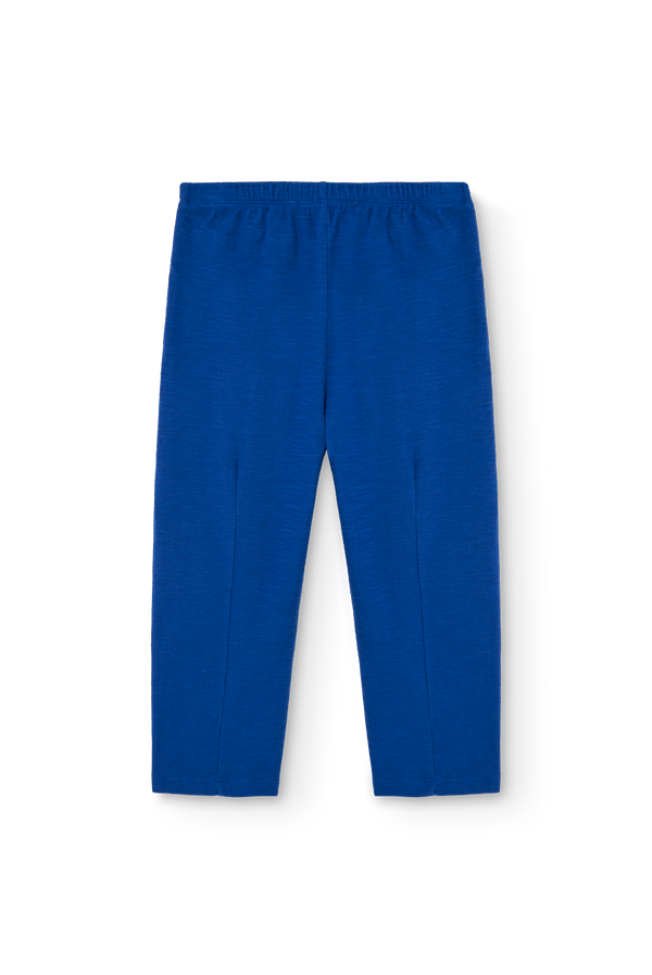 Blue Camaleon Sweatpants PRODUCT BACK