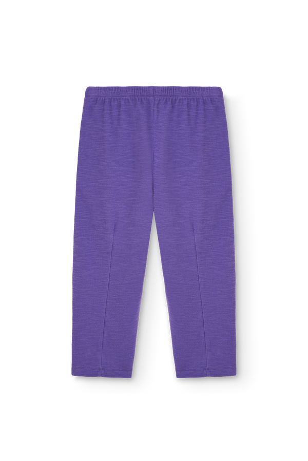 Purple Camaleon Sweatpants PRODUCT BACK