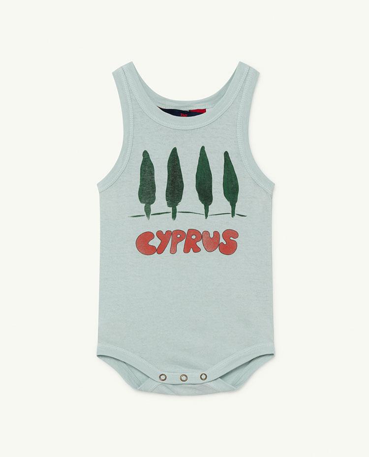 Blue Cyprus Turtle Baby Body COVER