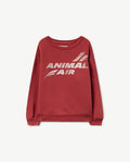 Maroon Animal Air Bear Sweatshirt
