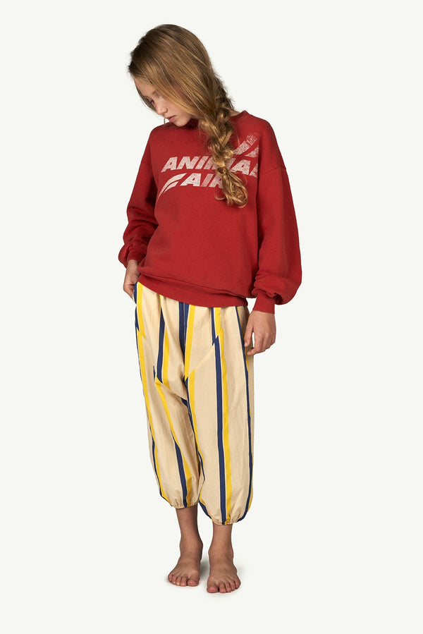 Maroon Animal Air Bear Sweatshirt MODEL FRONT