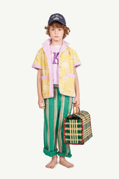 Green Stripes Camel Pants MODEL FRONT