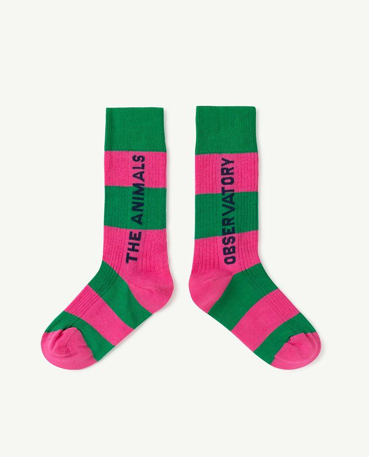 Pink Worm Socks COVER