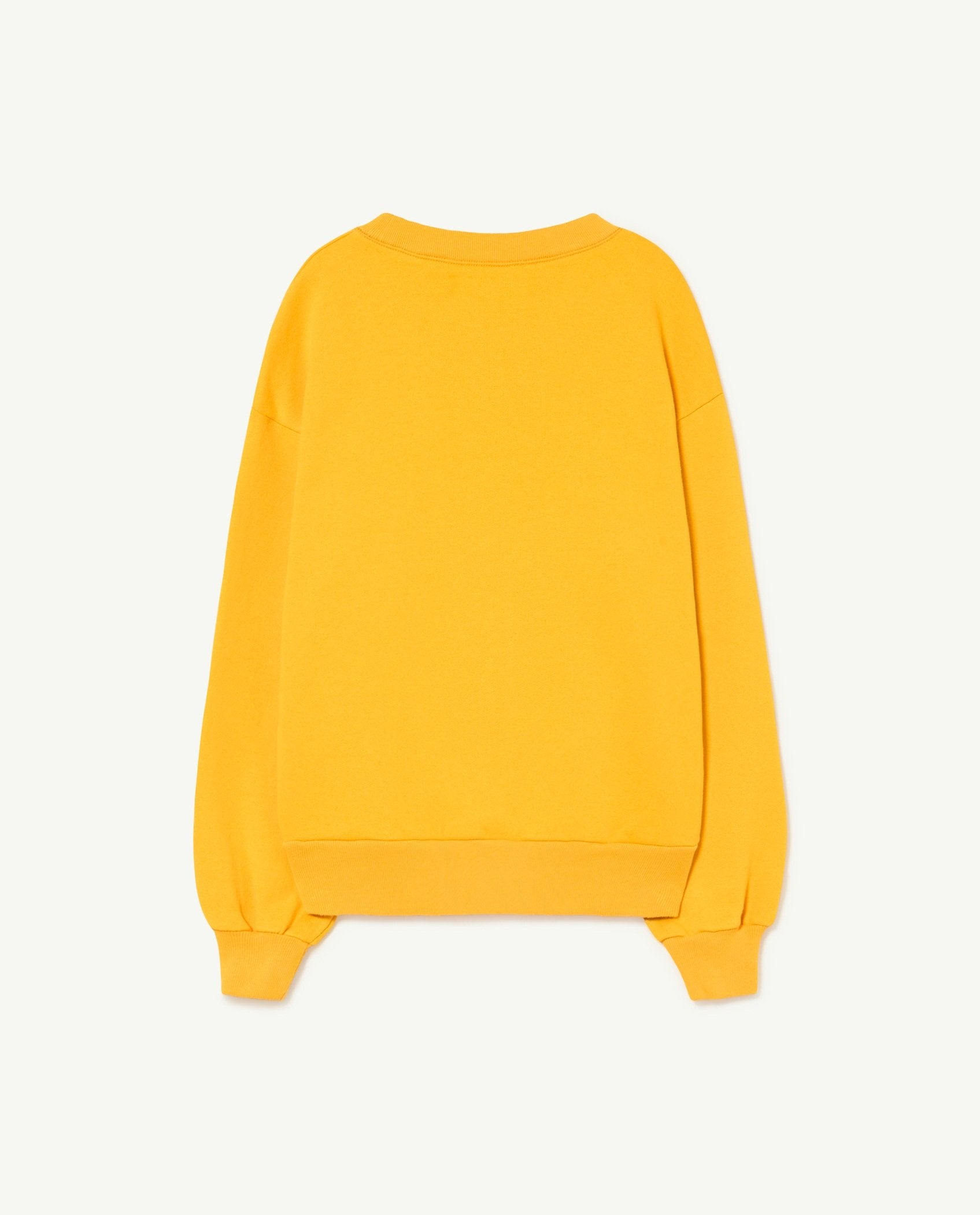 Yellow Green Flag Bear Sweatshirt PRODUCT BACK