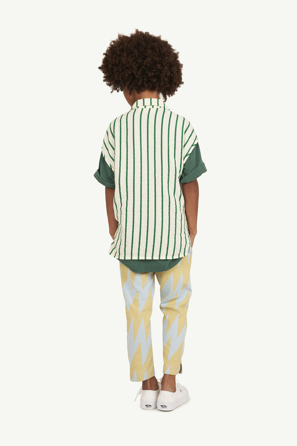 Blue Camaleon Pants MODEL BACK