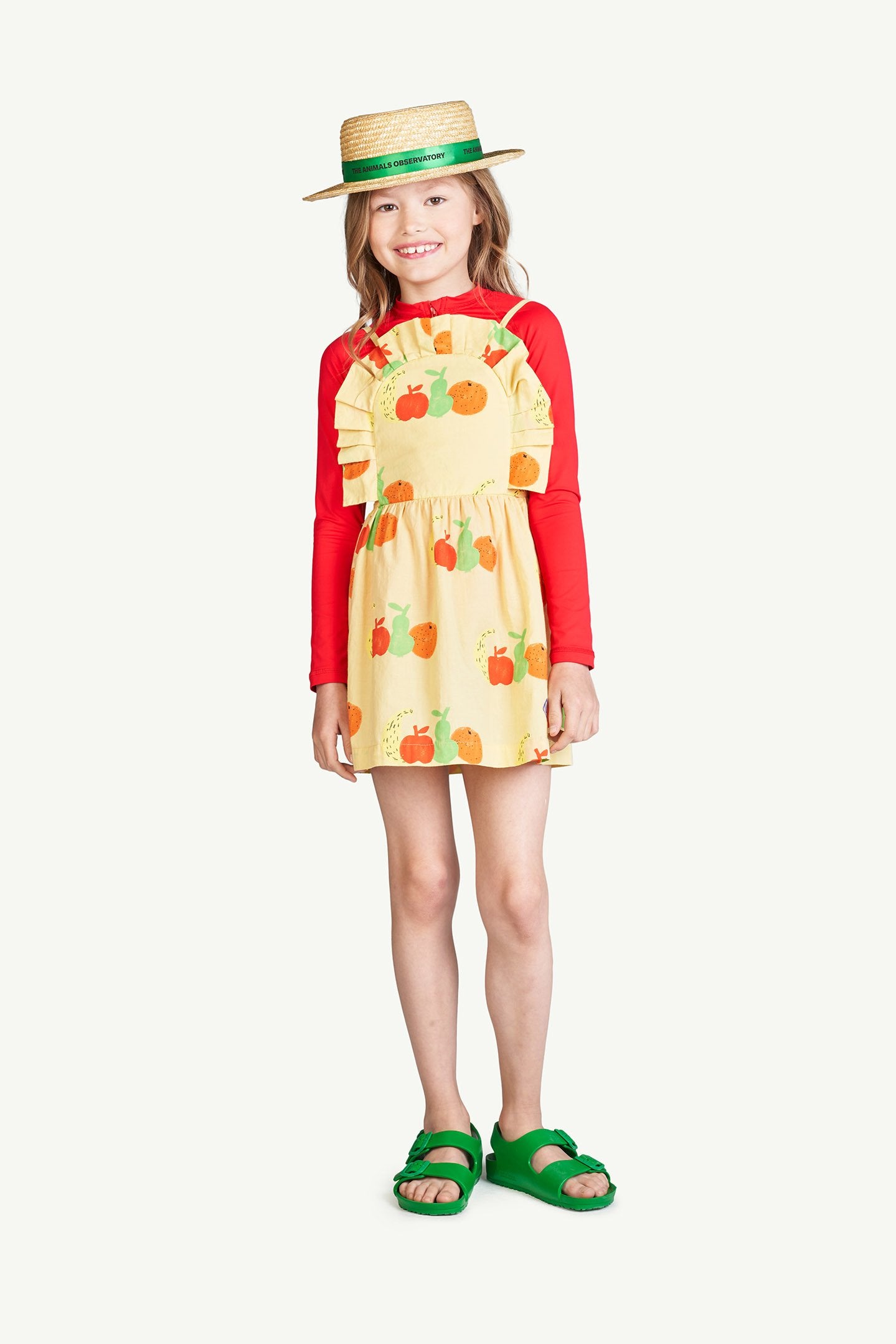Yellow Fruits Dragonfly Dress MODEL FRONT