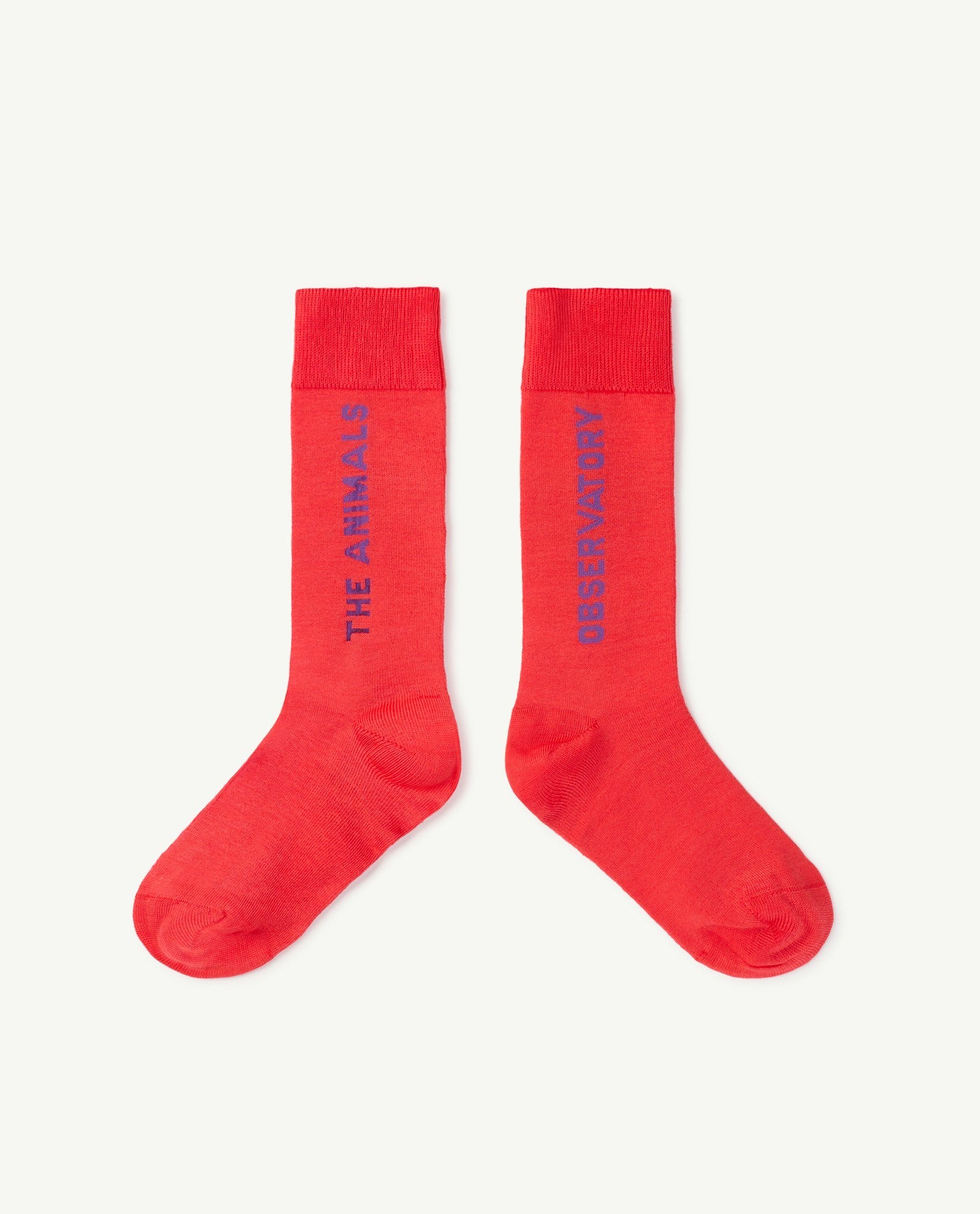 Red Hen Socks PRODUCT FRONT