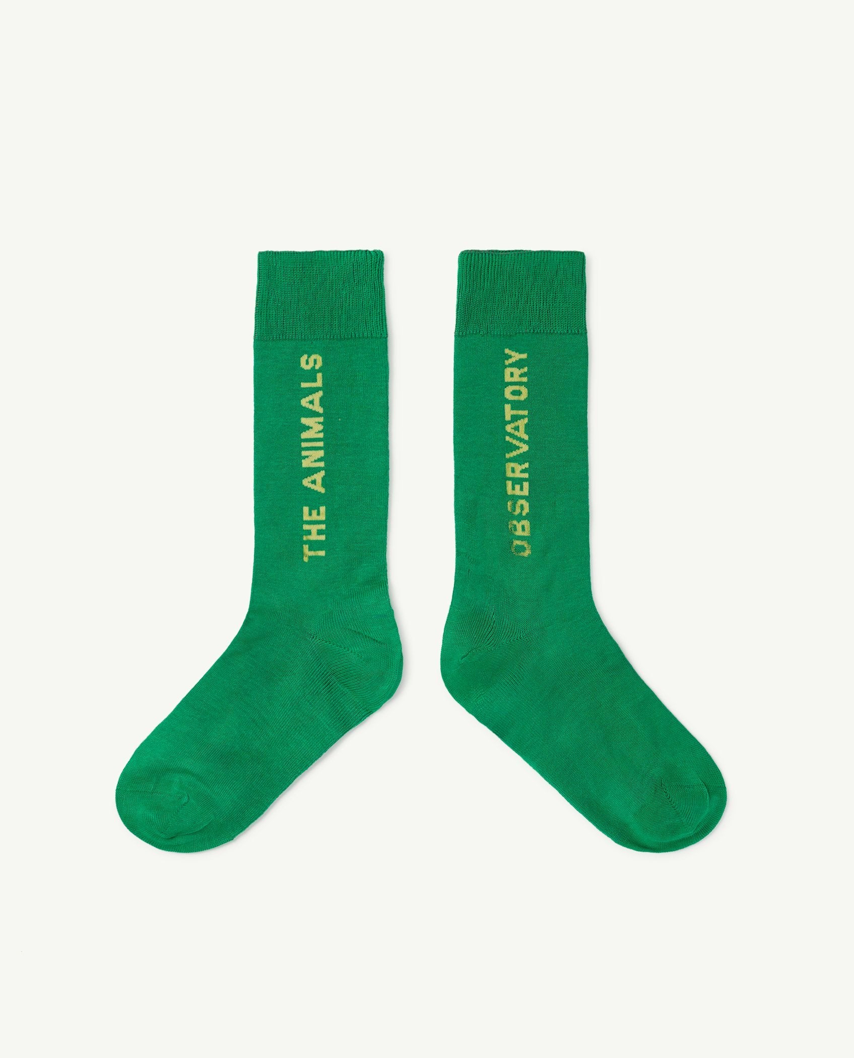 Green Hen Socks PRODUCT FRONT