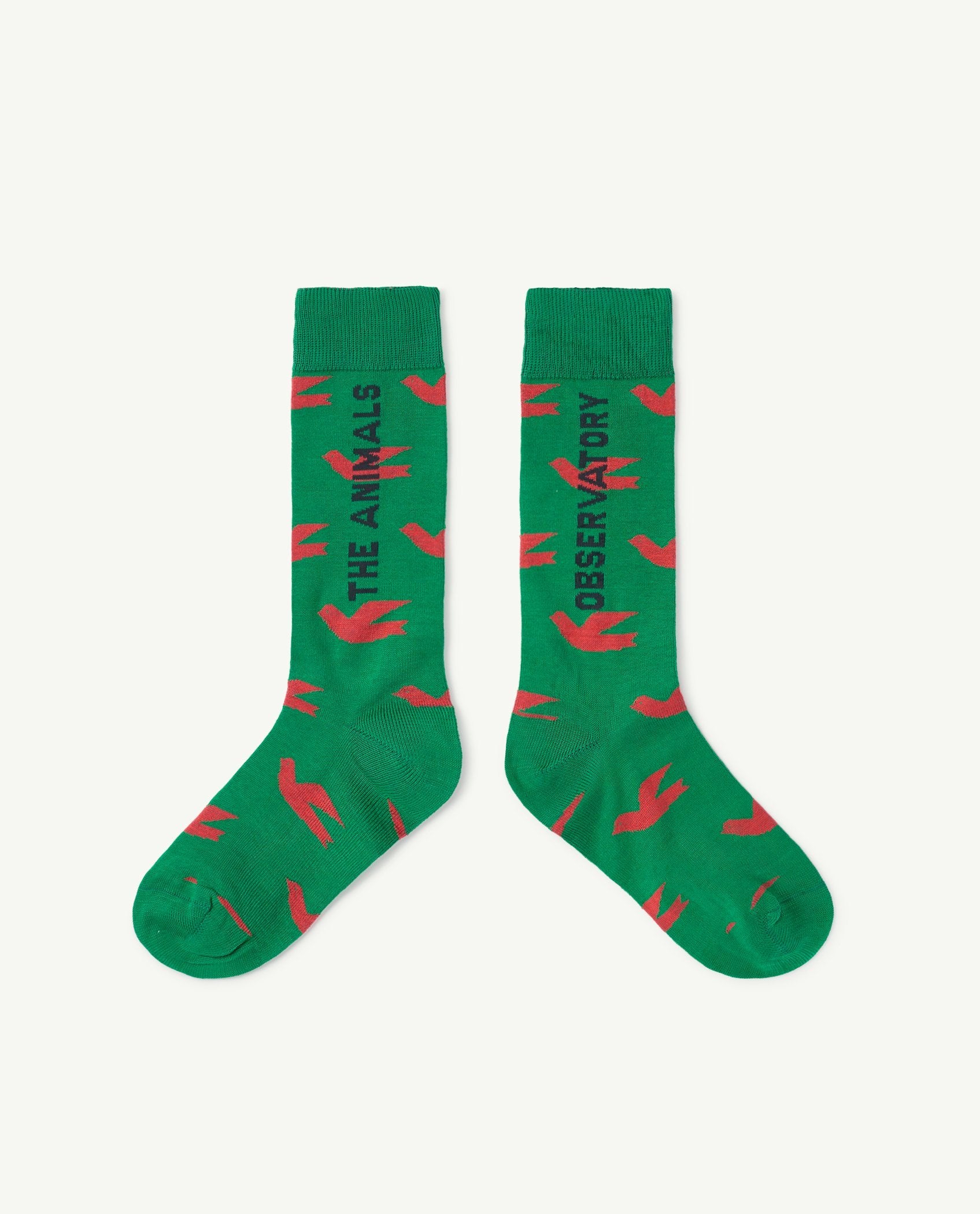 Birds Green Worm Socks PRODUCT FRONT