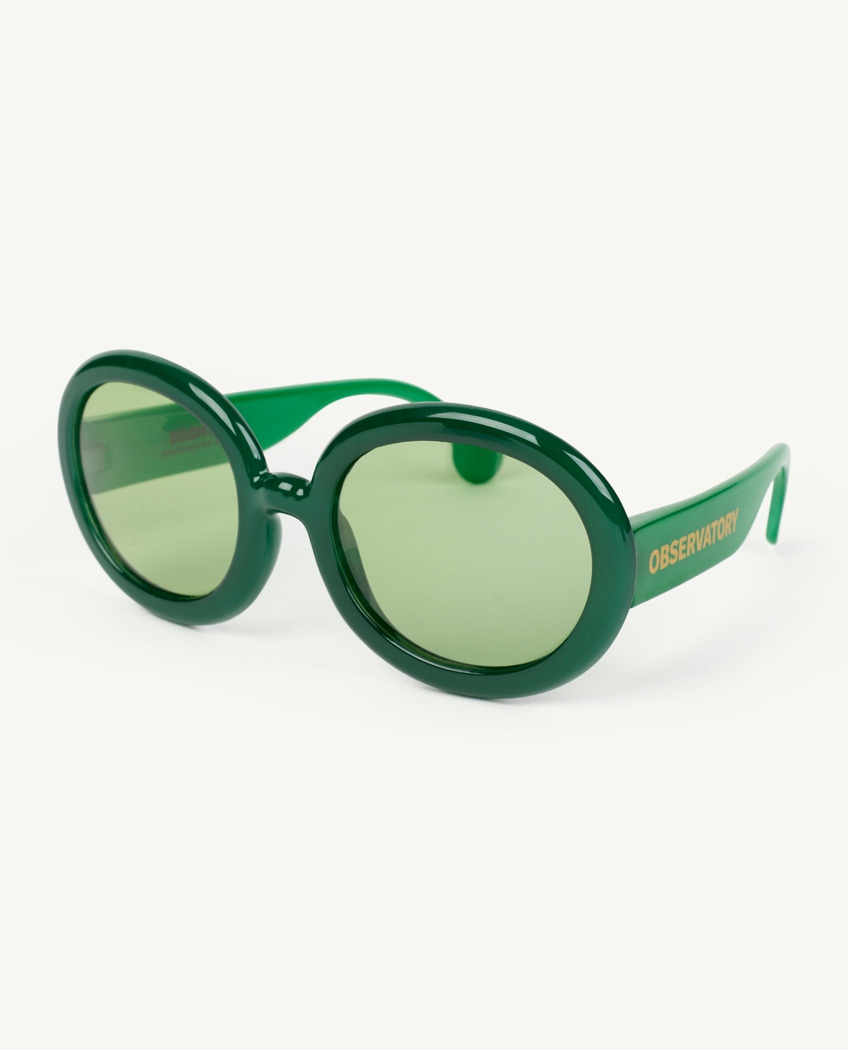 Green Circular Sunglasses PRODUCT BACK