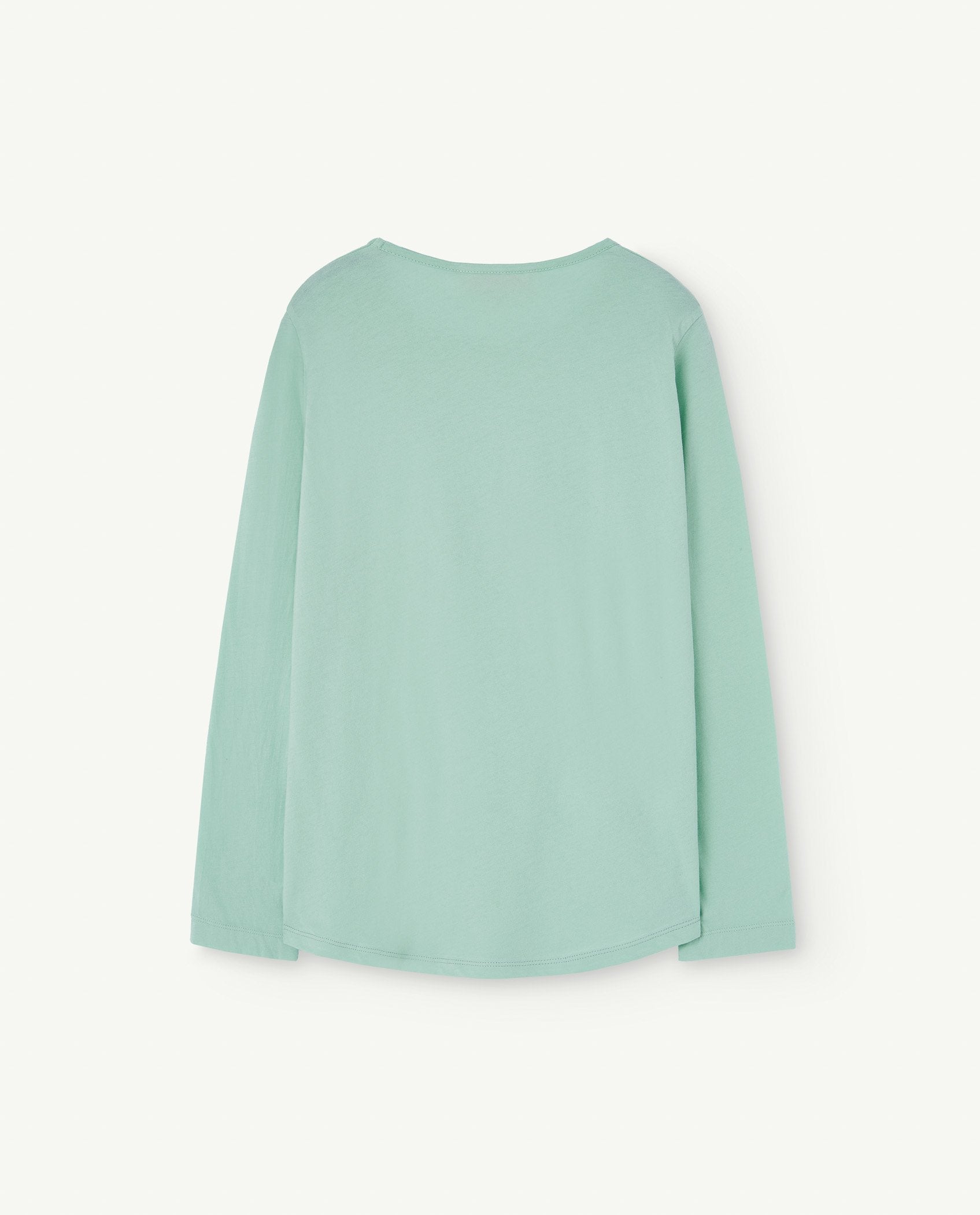 Turquoise Cricket Long Sleeve T-Shirt PRODUCT BACK