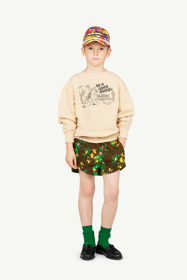 Image of a boy dressed in The Animals Observatory. The outfit consists of a cap, a sweatshirt, printed shorts, and green socks. The image shows the outfit from the front.