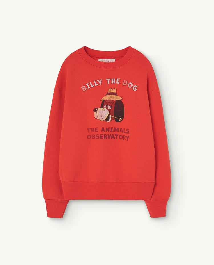 Red Bear Sweatshirt COVER
