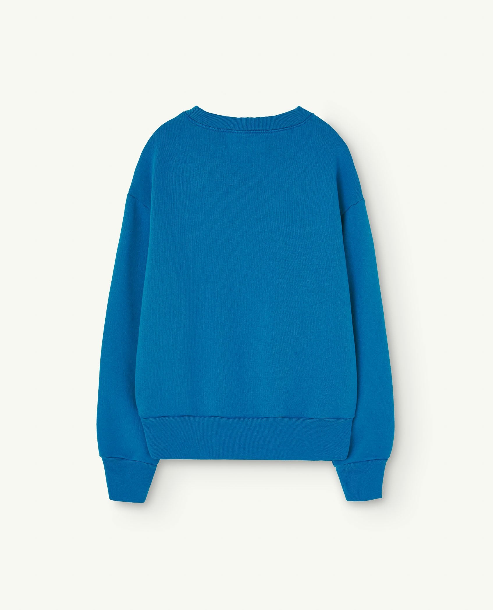 Blue Bear Sweatshirt PRODUCT BACK