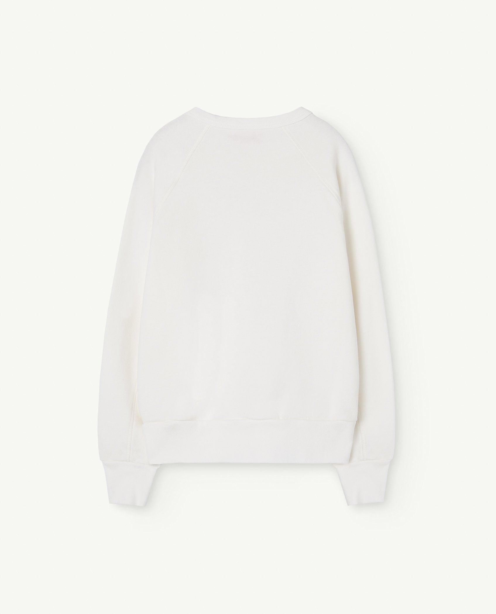 White Shark Sweatshirt PRODUCT BACK