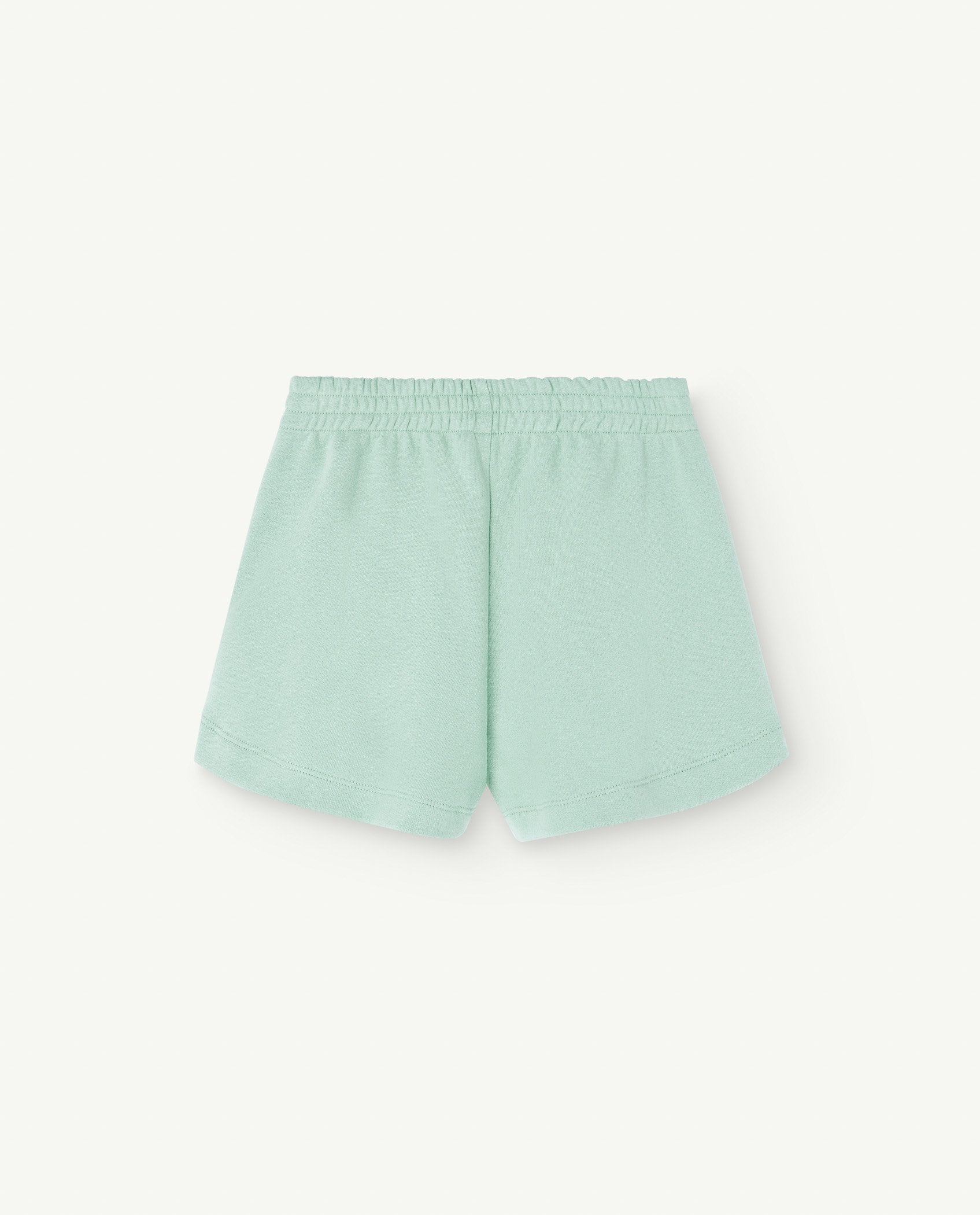Turquoise Gardener Shorts PRODUCT BACK