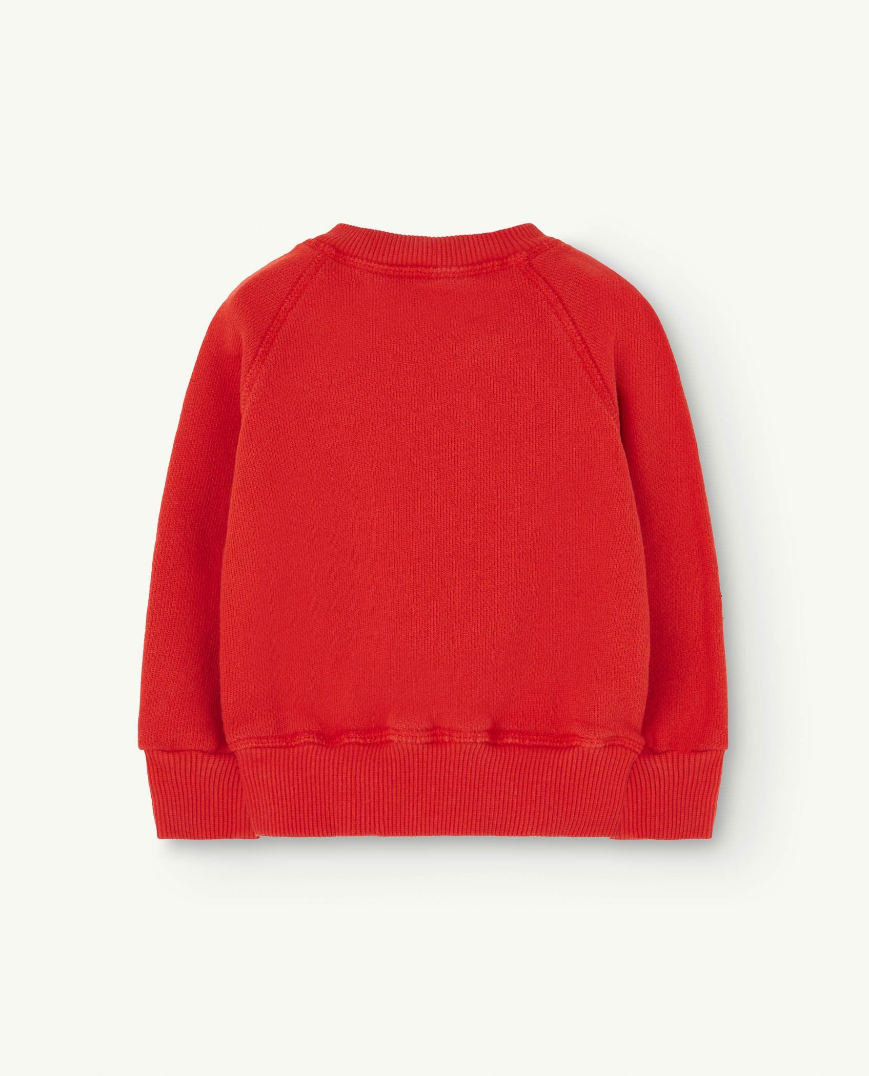 Red Shark Baby Sweatshirt PRODUCT BACK
