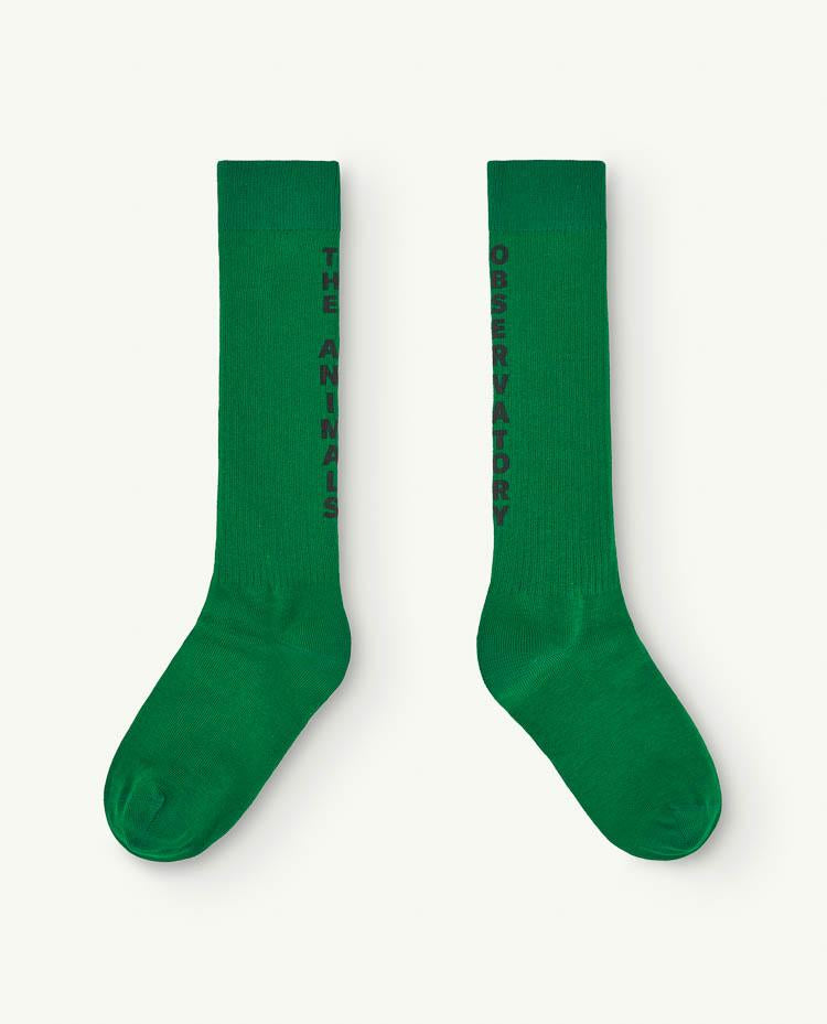 Green Worm Socks COVER