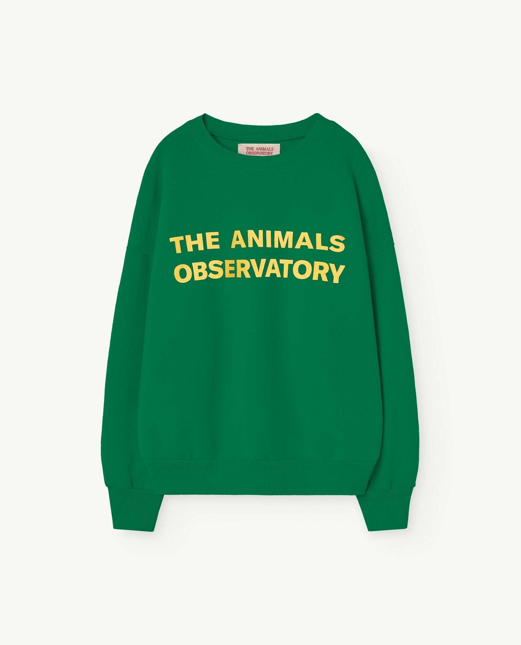 Green Leo Kids Sweatshirt PRODUCT FRONT