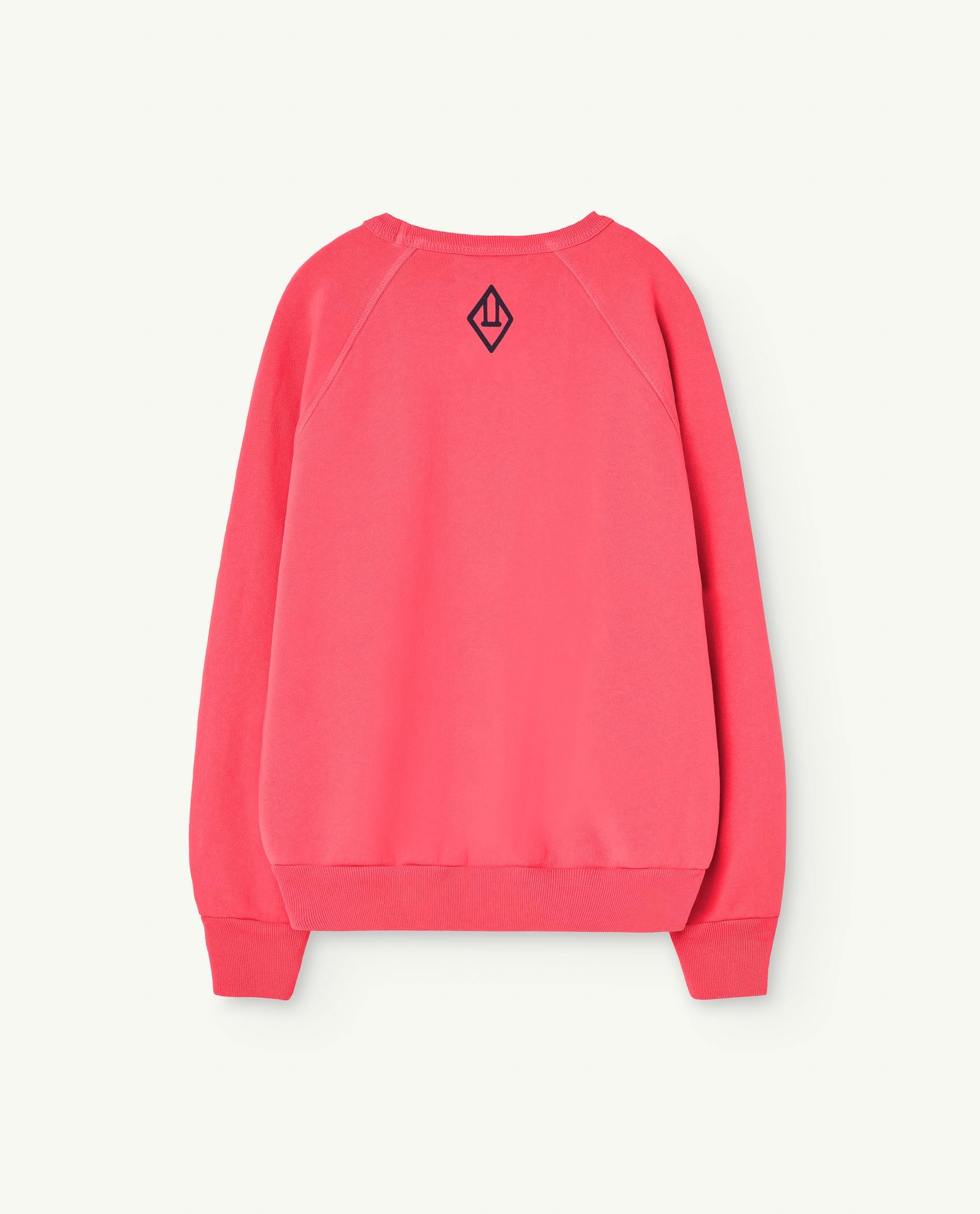 Pink Perseus Kids Sweatshirt PRODUCT BACK