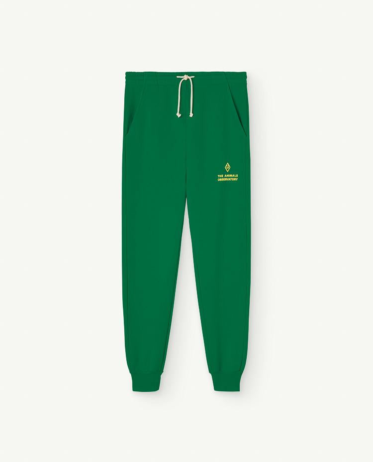 Green Draco Adult Sweatpants COVER