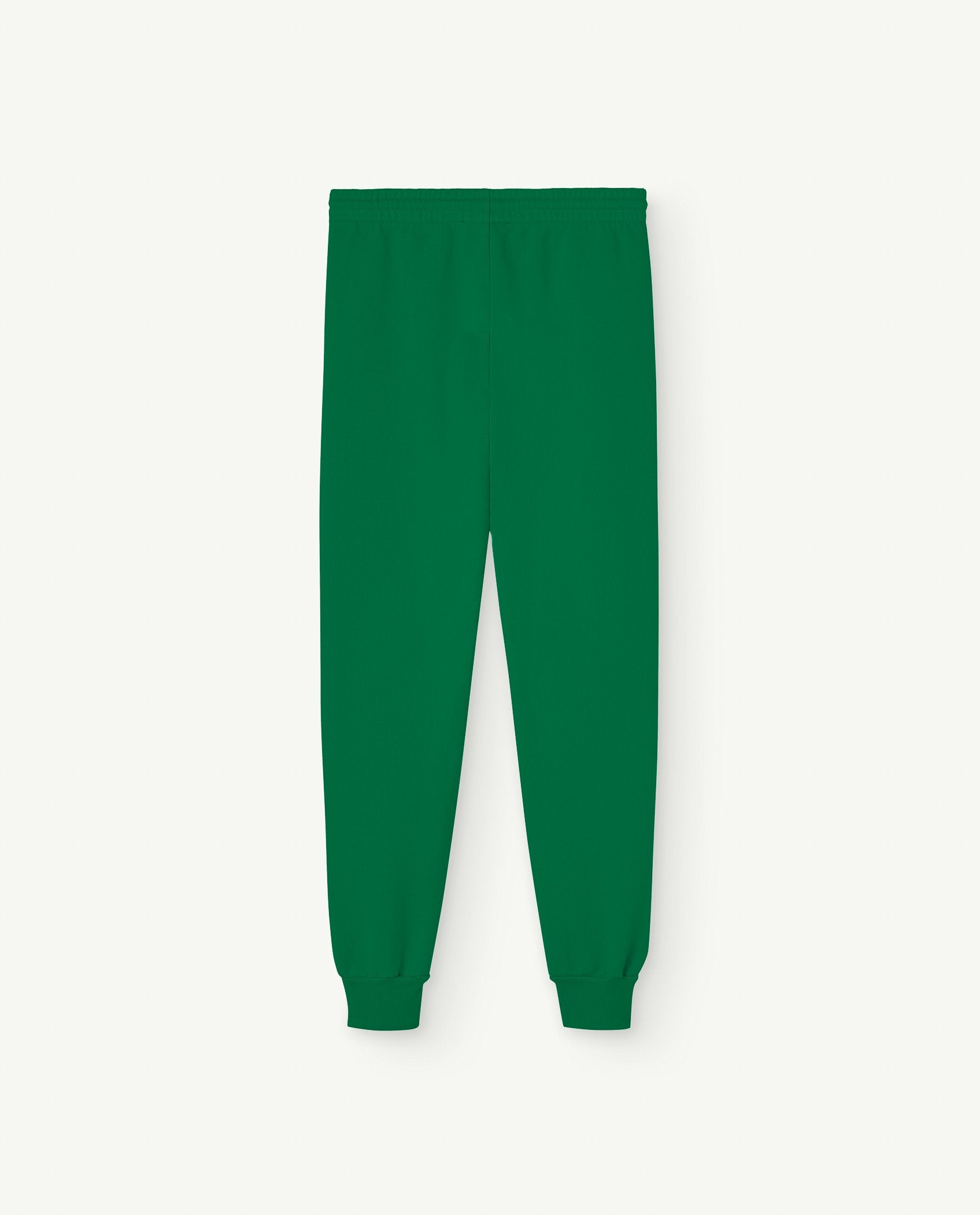 Green Draco Adult Sweatpants PRODUCT BACK