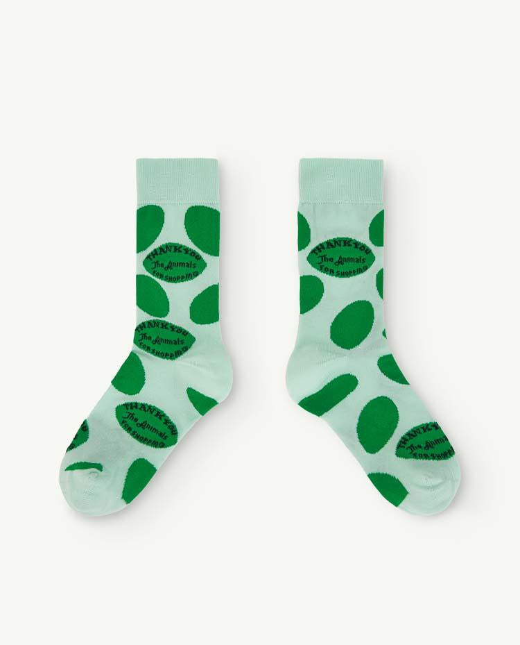 Turquoise Snail Socks COVER