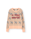 Soft Pink Grebe Sweater