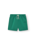 Green Ladybug Hedgehog Shorts