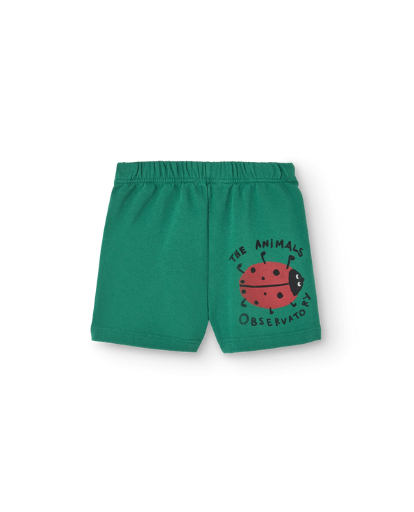 Green Ladybug Hedgehog Shorts PRODUCT BACK