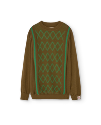 Military Green Bull Sweater COVER