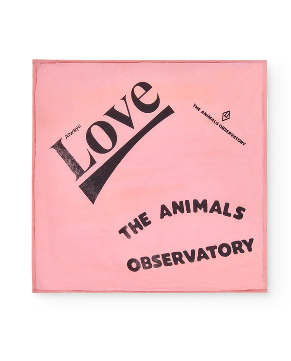 Pink Love Blanket PRODUCT FRONT