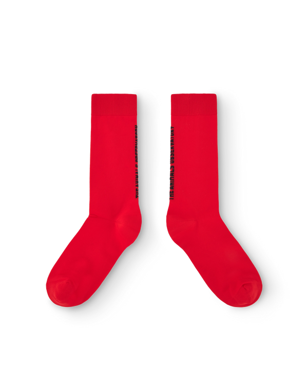Red Snail Socks PRODUCT FRONT